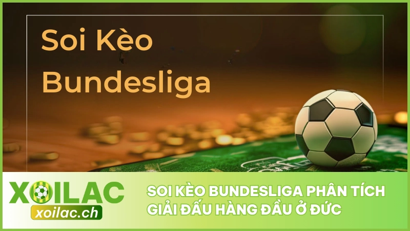 Soi Kèo Bundesliga - Phân Tích Giải Đấu Hàng Đầu Ở Đức 1 Soi Kèo Bundesliga - Phân Tích Giải Đấu Hàng Đầu Ở Đức