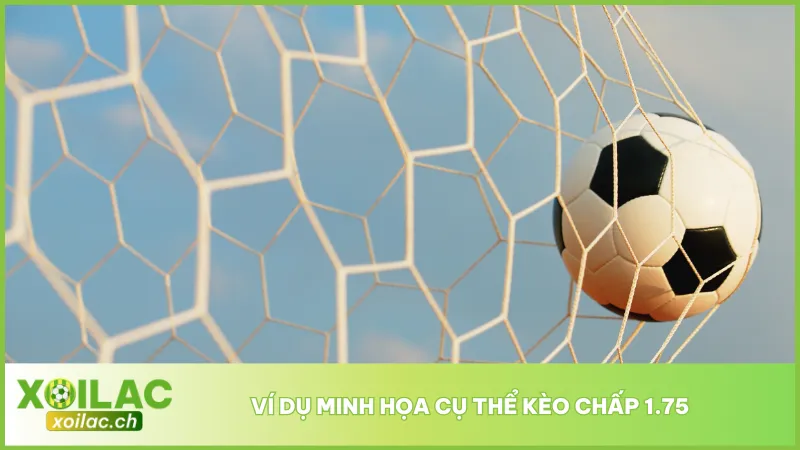 Mẹo Cược Kèo Chấp 1.75 - Tránh Bẫy & Nhân Đôi Lợi Nhuận 3 Tham khảo cách tính kèo 1.75 qua trận đấu giữa Manchester City và Crystal Palace